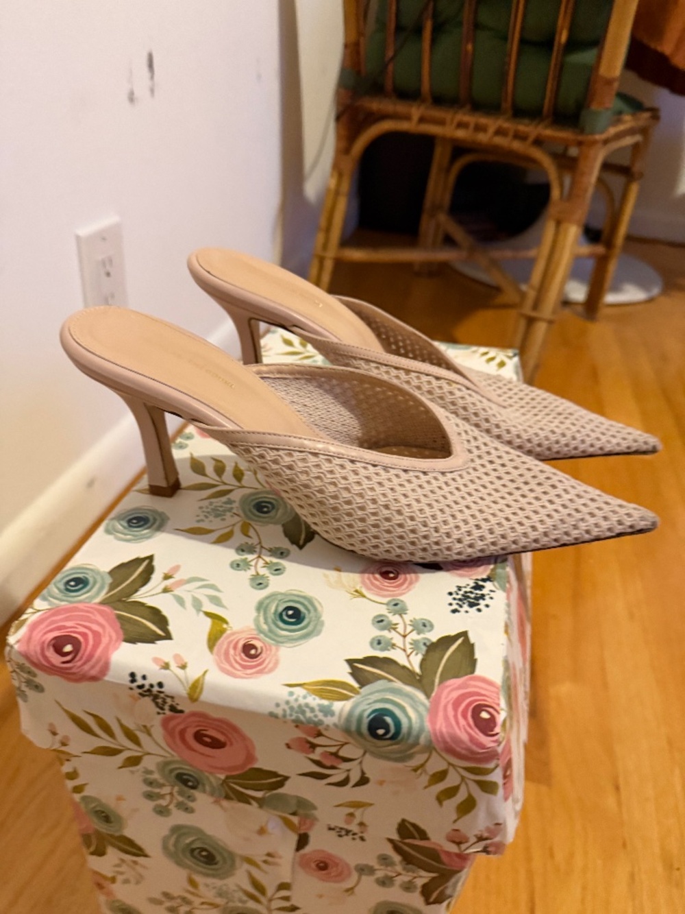 Scanlan Theodore Nude Mesh Pointed Toe Mule Heels EU 40 Made in Italy